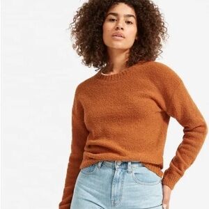 Everlane The Teddy Crew Neck Sweater in Cider